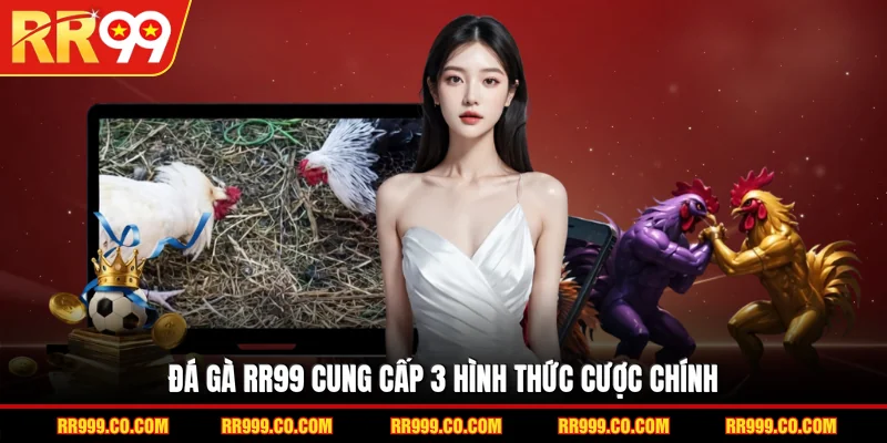 Đá gà RR99 cung cấp 3 hình thức cược chính