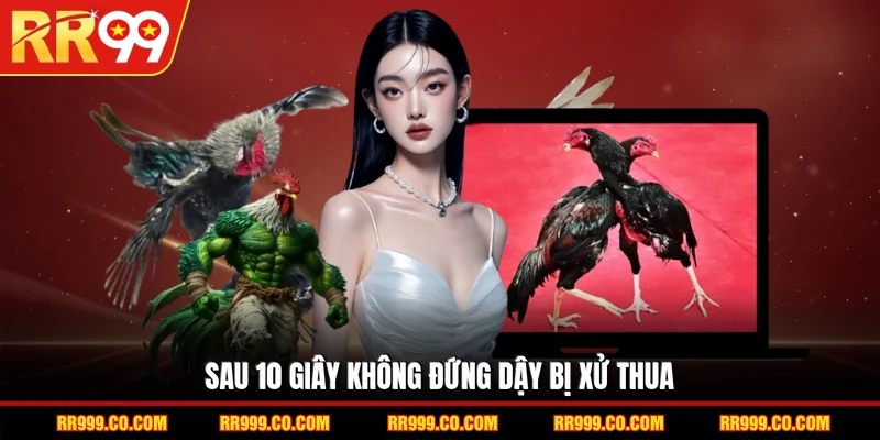 Sau 10 giây không đứng dậy bị xử thua